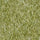 pesto